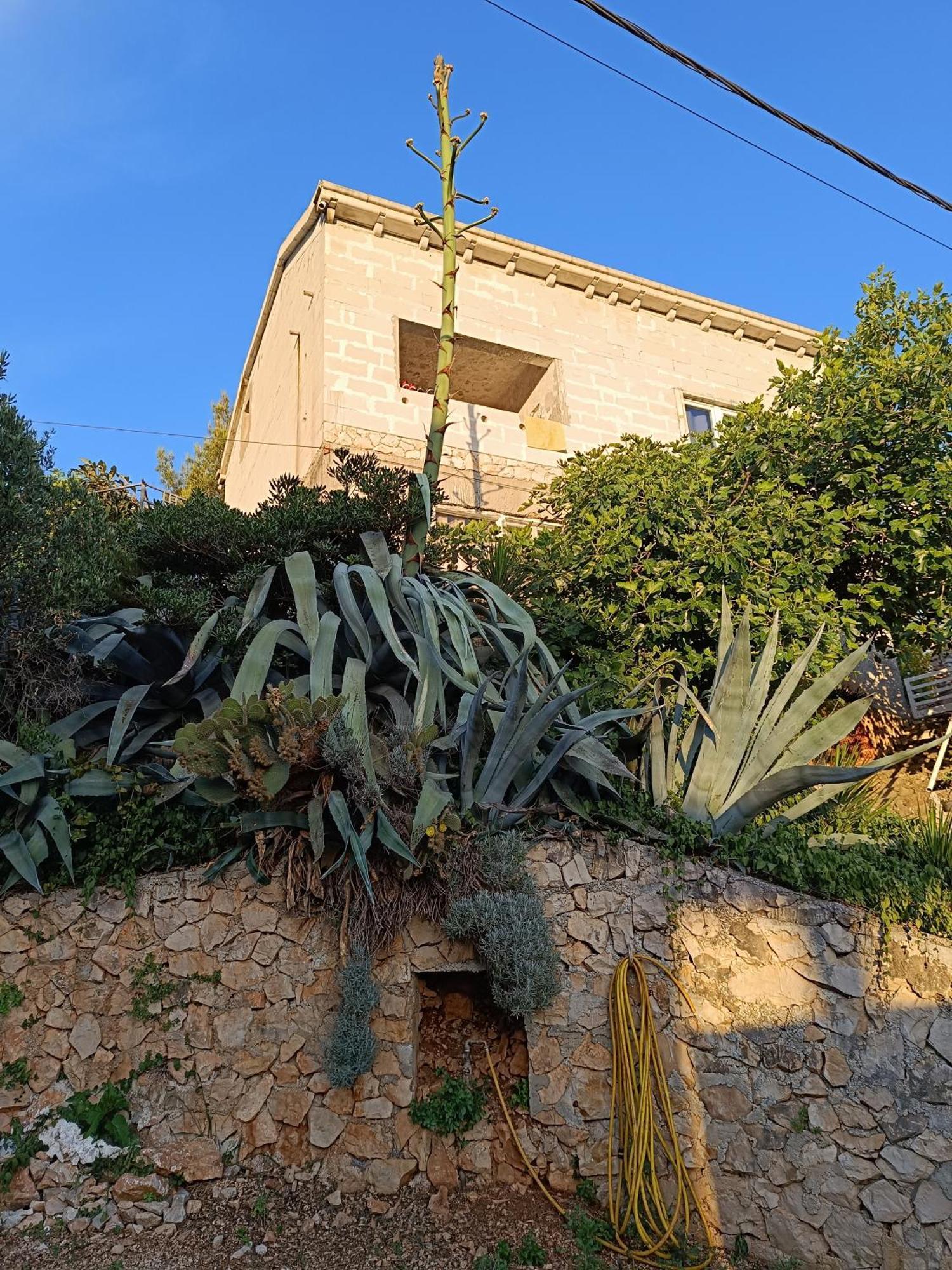 Apartmarin Τρογκίρ Εξωτερικό φωτογραφία
