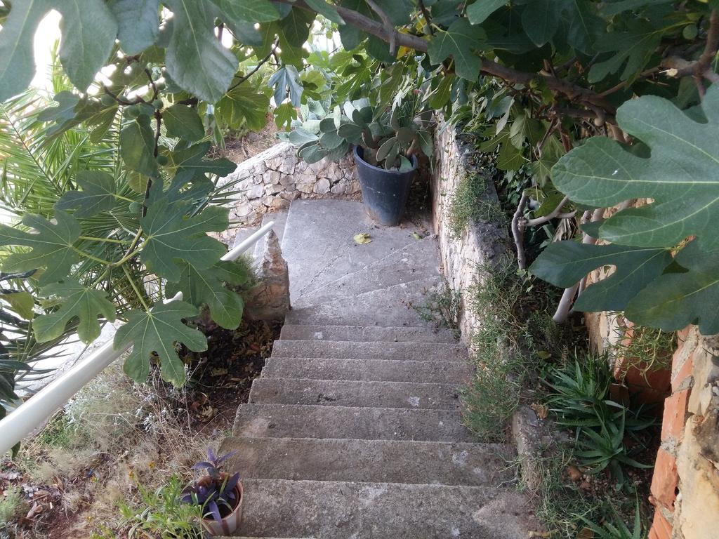 Apartmarin Τρογκίρ Εξωτερικό φωτογραφία